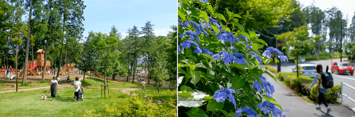 プロスタイル南町田の周辺環境